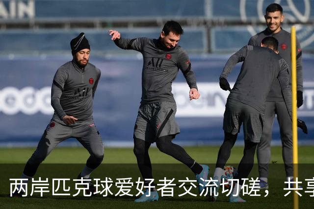 两岸匹克球爱好者交流切磋，共享运动激情